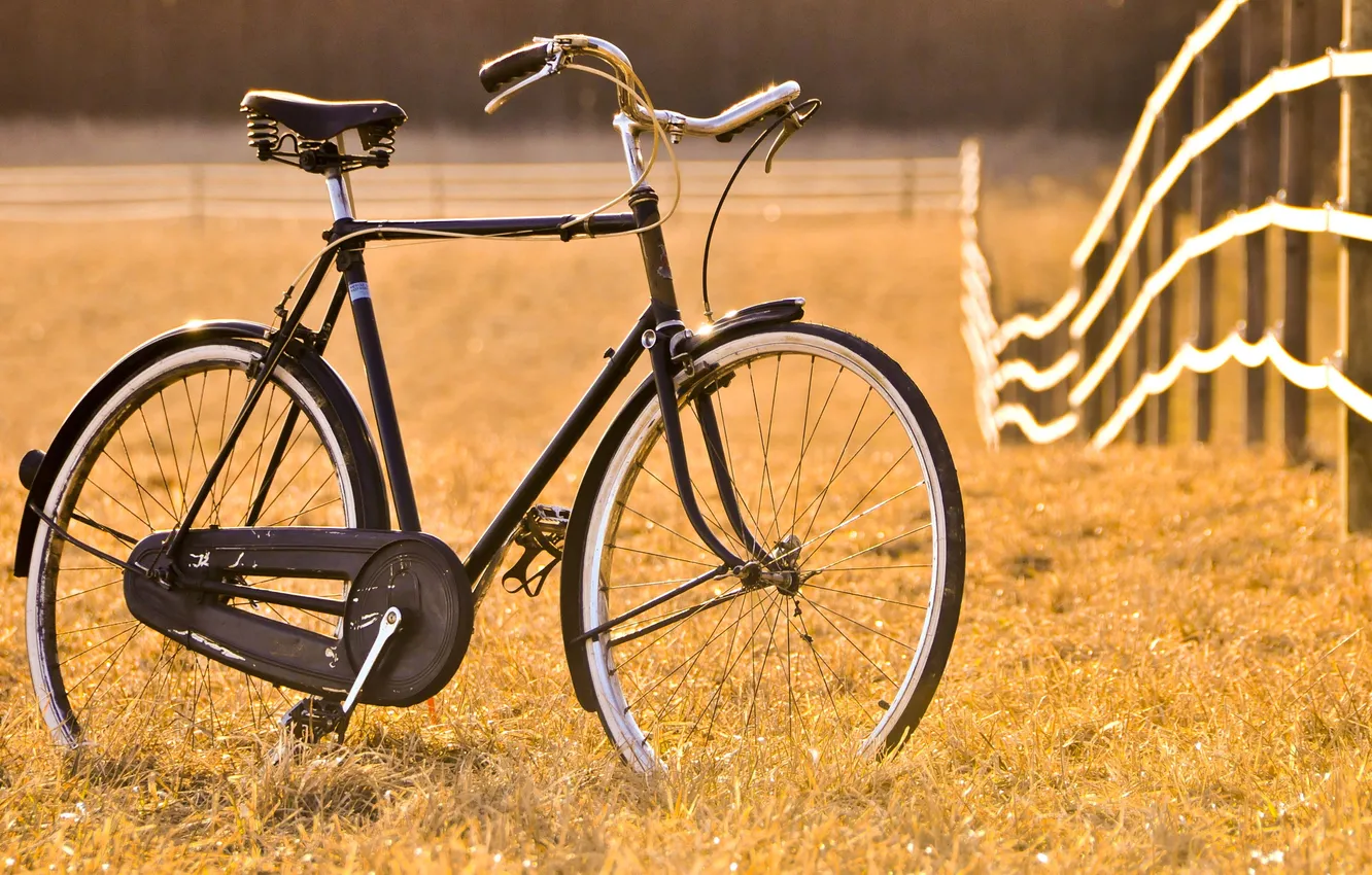 Фото обои поле, велосипед, ограда