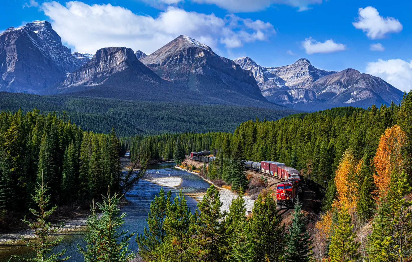 Фото обои лес, деревья, горы, река, поезд, Канада, Альберта, Banff National Park
