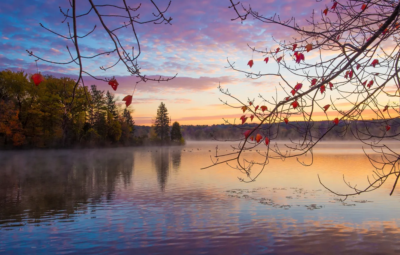 Фото обои осень, лес, озеро, восход, утро