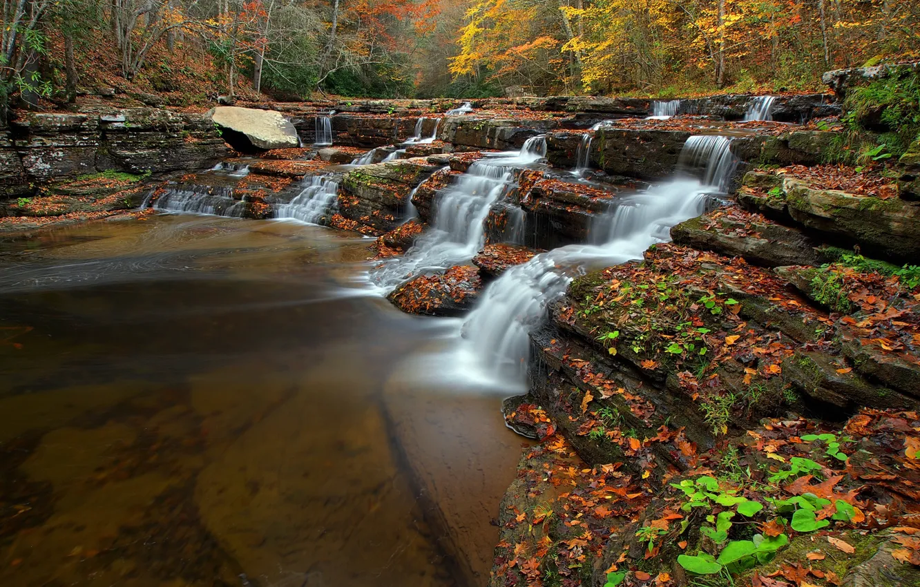 Фото обои осень, лес, листья, деревья, река, ручей, водопад, США