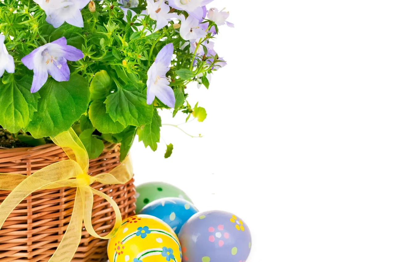 Фото обои цветы, яйца, пасха, Easter
