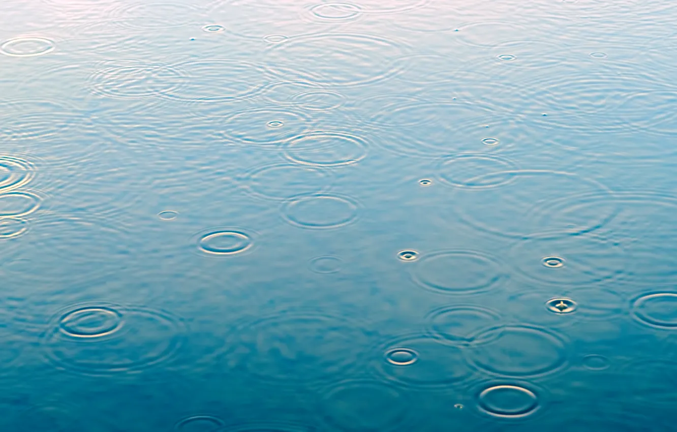 Фото обои вода, капли, макро, дождь, rain, water, drops, raindrops