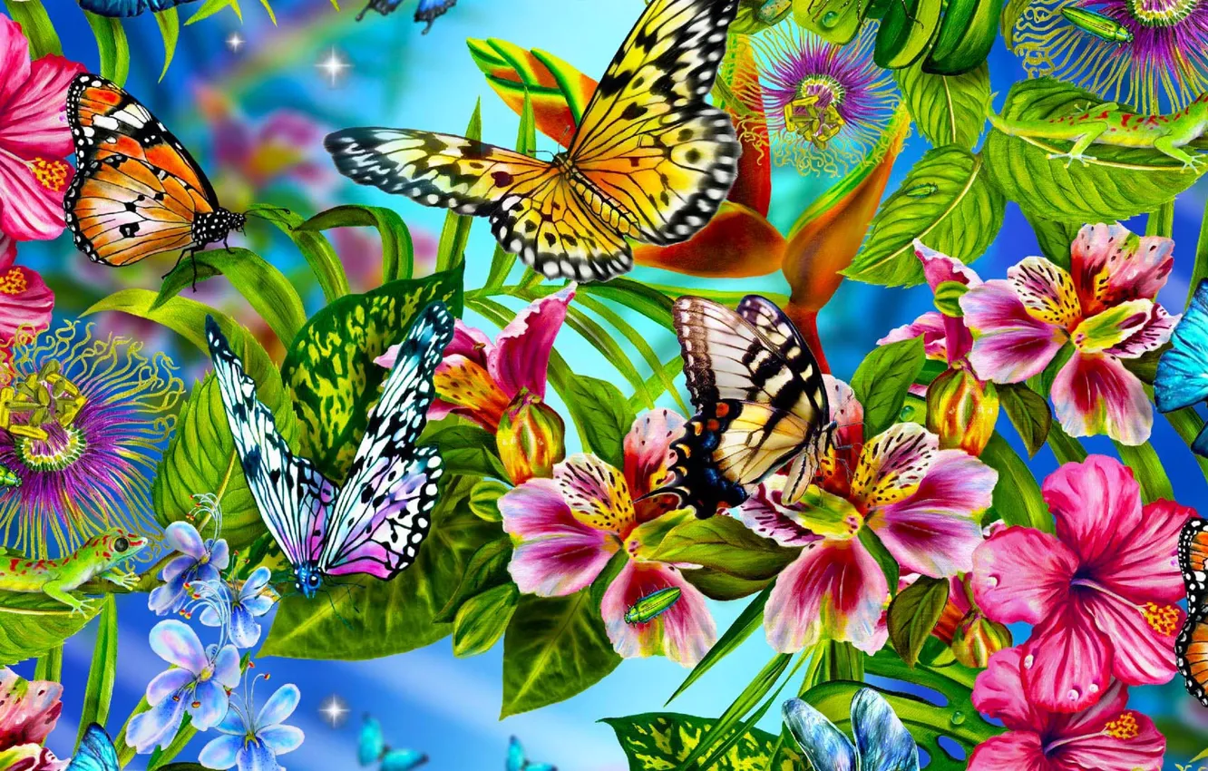 Фото обои цветы, коллаж, бабочка, лепестки, насекомое