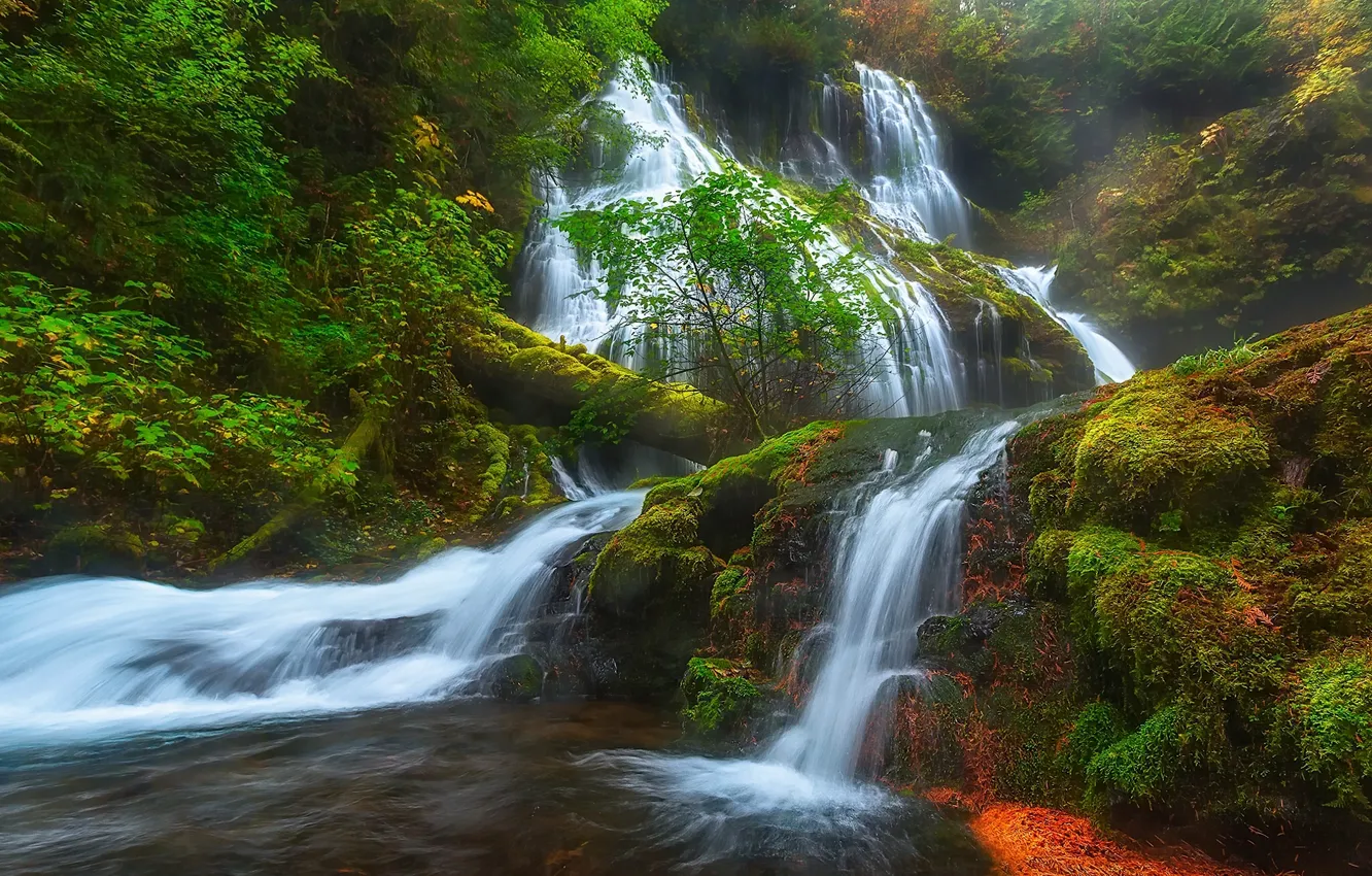 Фото обои лес, водопад, мох, каскад, Washington, штат Вашингтон, Columbia River Gorge, Panther Creek Falls