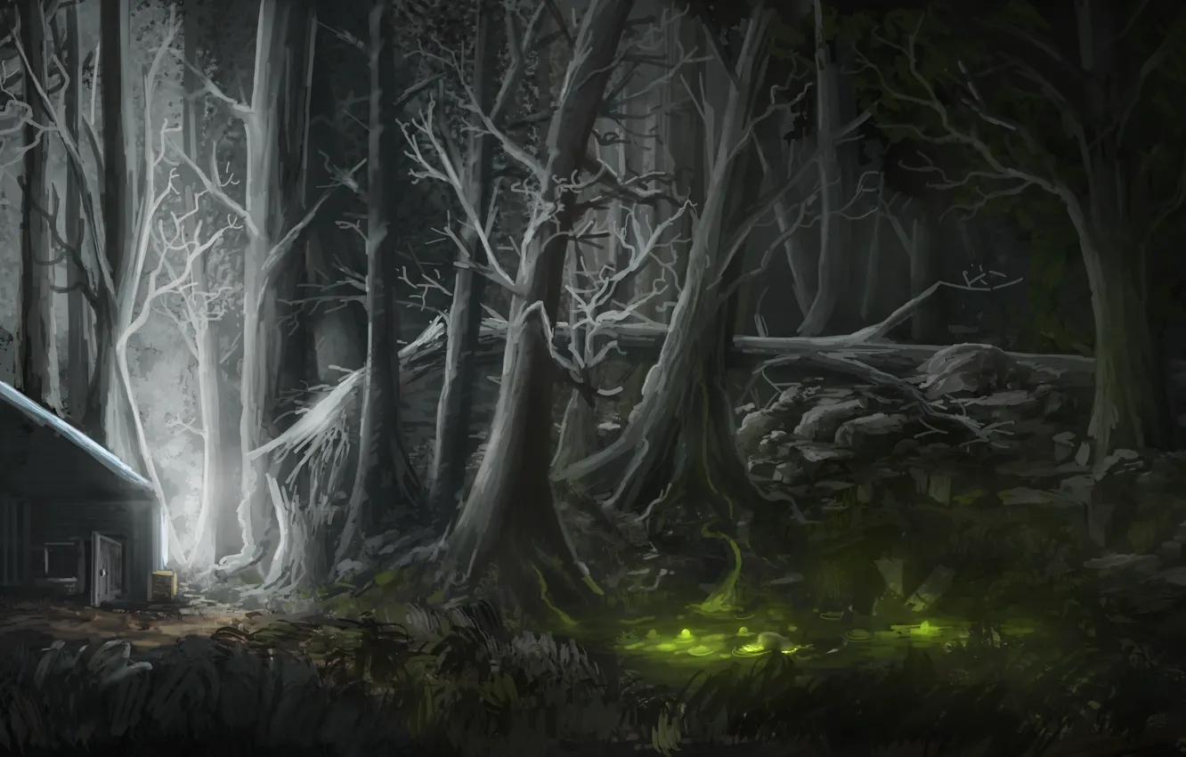 Фото обои лес, свет, ночь, дом, рисунок, болото