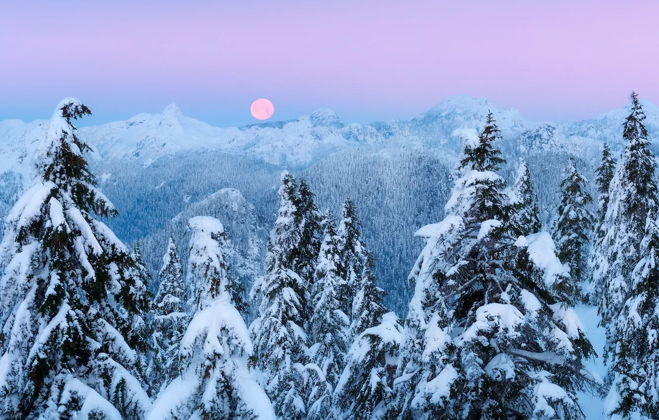 Фото обои зима, снег, горы, луна, вечер