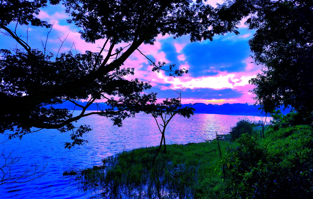 Фото обои Clouds, Sky, Grass, Sun, Water, Sunrise, Dawn, Morning