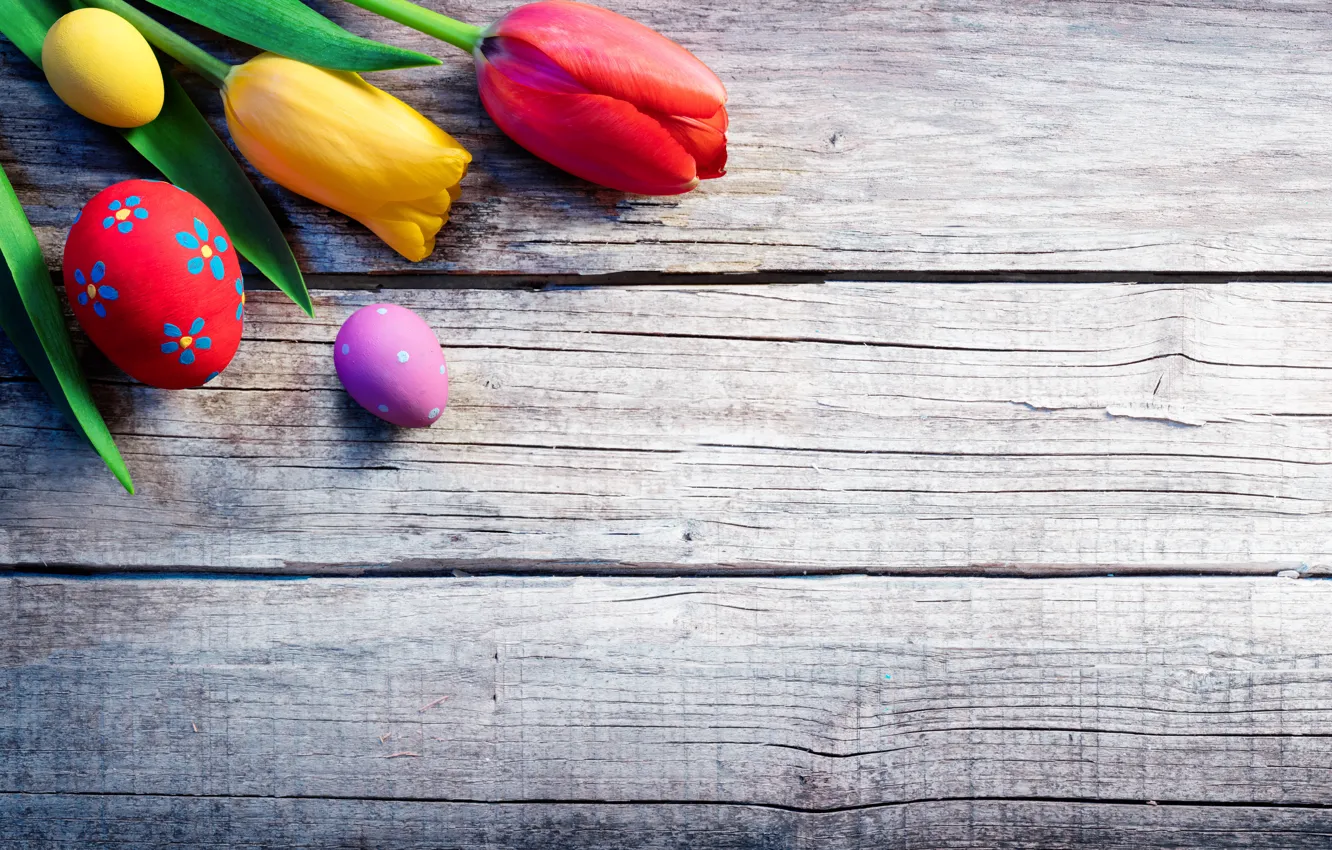 Фото обои цветы, праздник, доски, яйца, Пасха, тюльпаны, Easter, крашенки