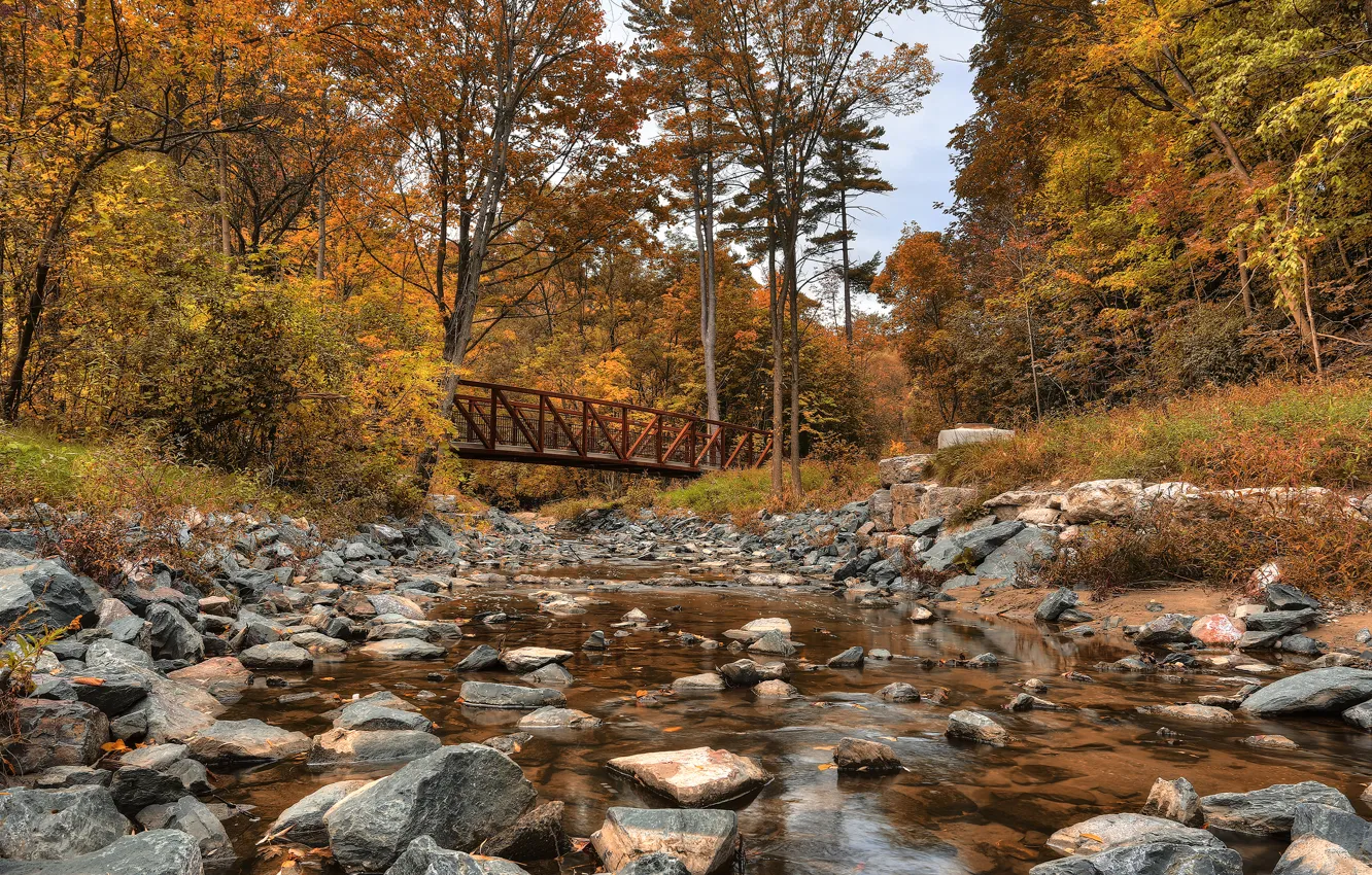 Фото обои осень, лес, деревья, мост, камни, Канада, речка, Canada
