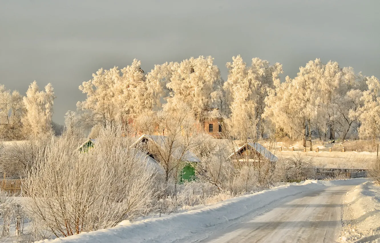 Фото обои зима, иней, красота, мороз, тверская обл
