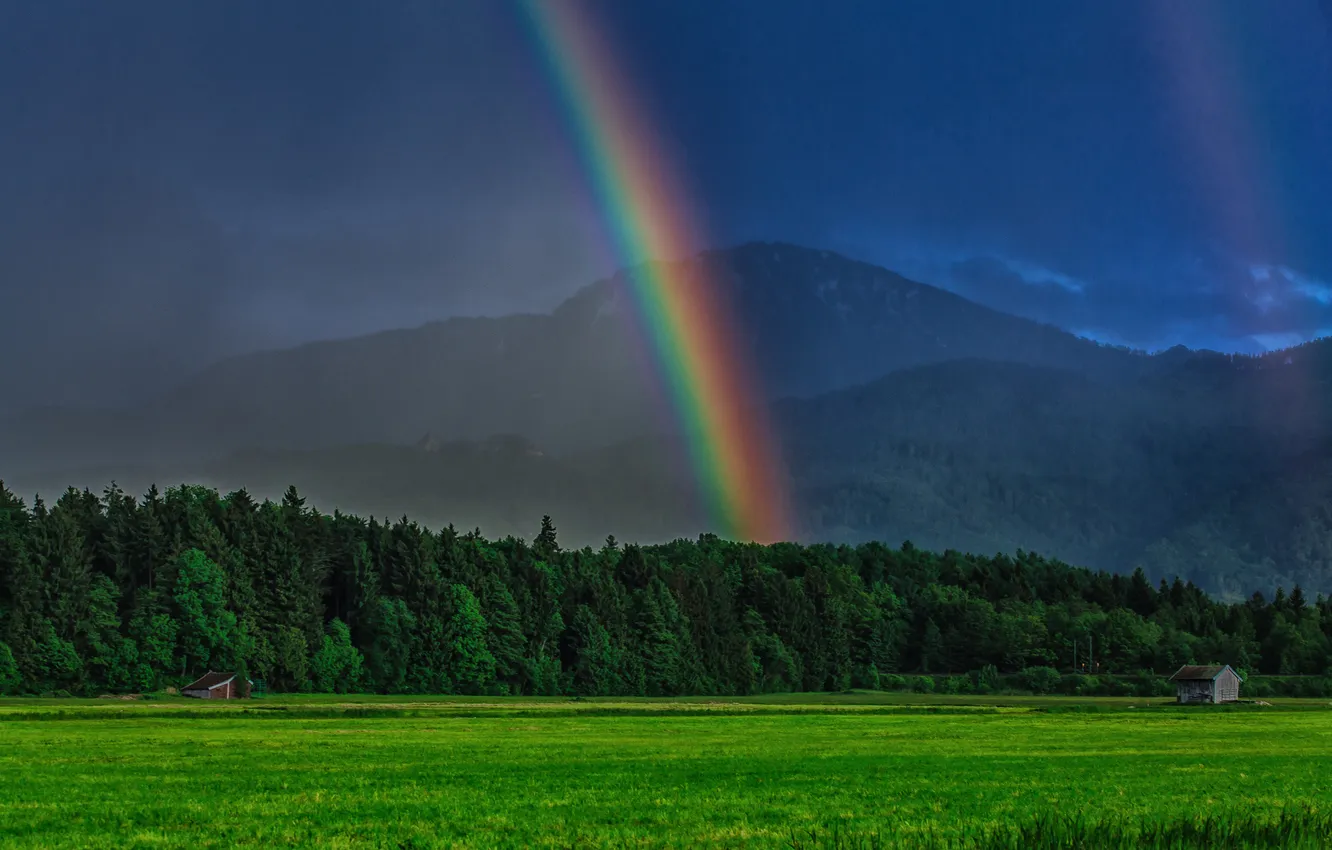 Фото обои лес, горы, радуга, Германия, Бавария, луг, Germany, Bavaria