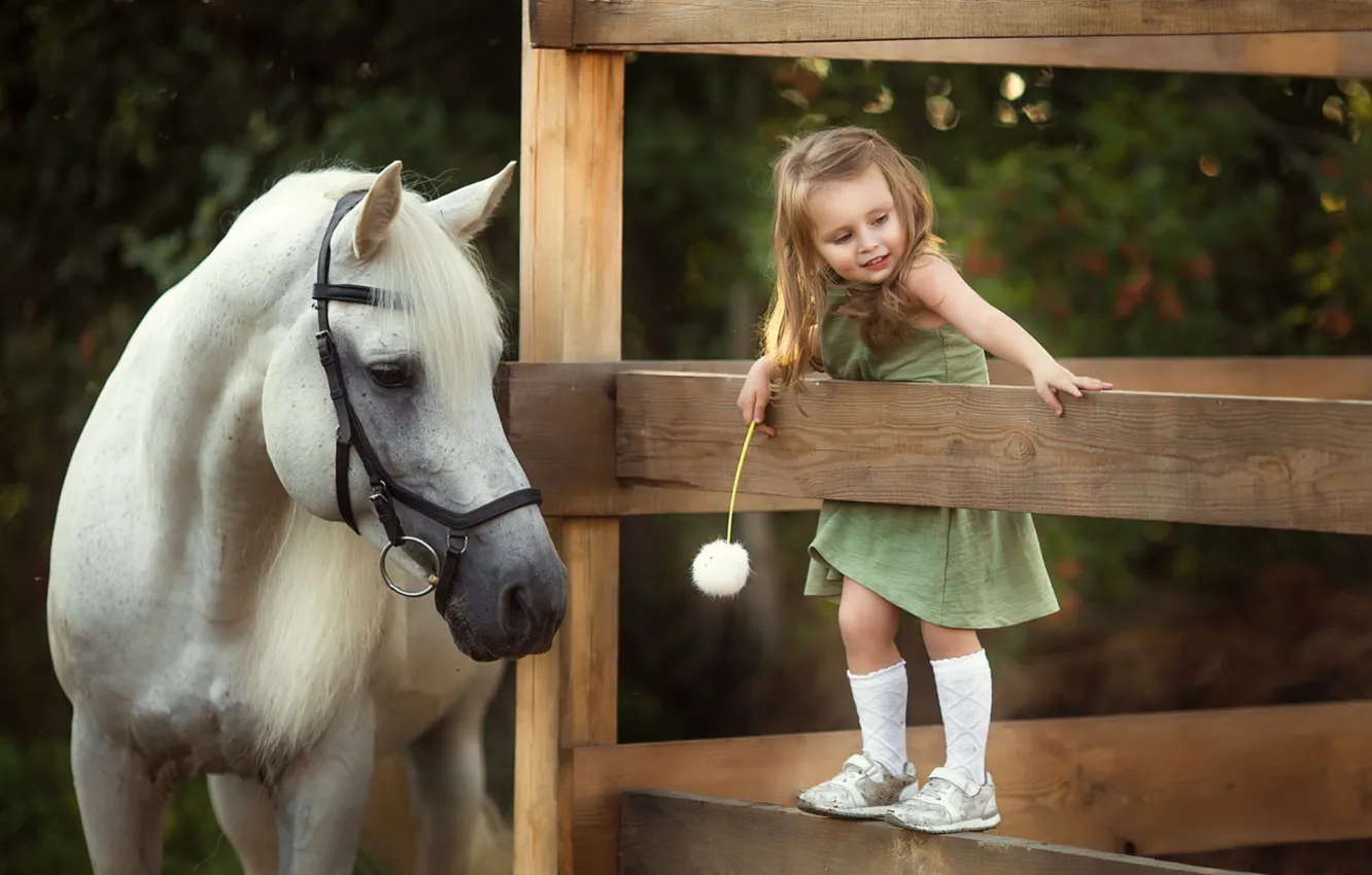 Фото обои радость, одуванчик, лошадь, забор, девочка