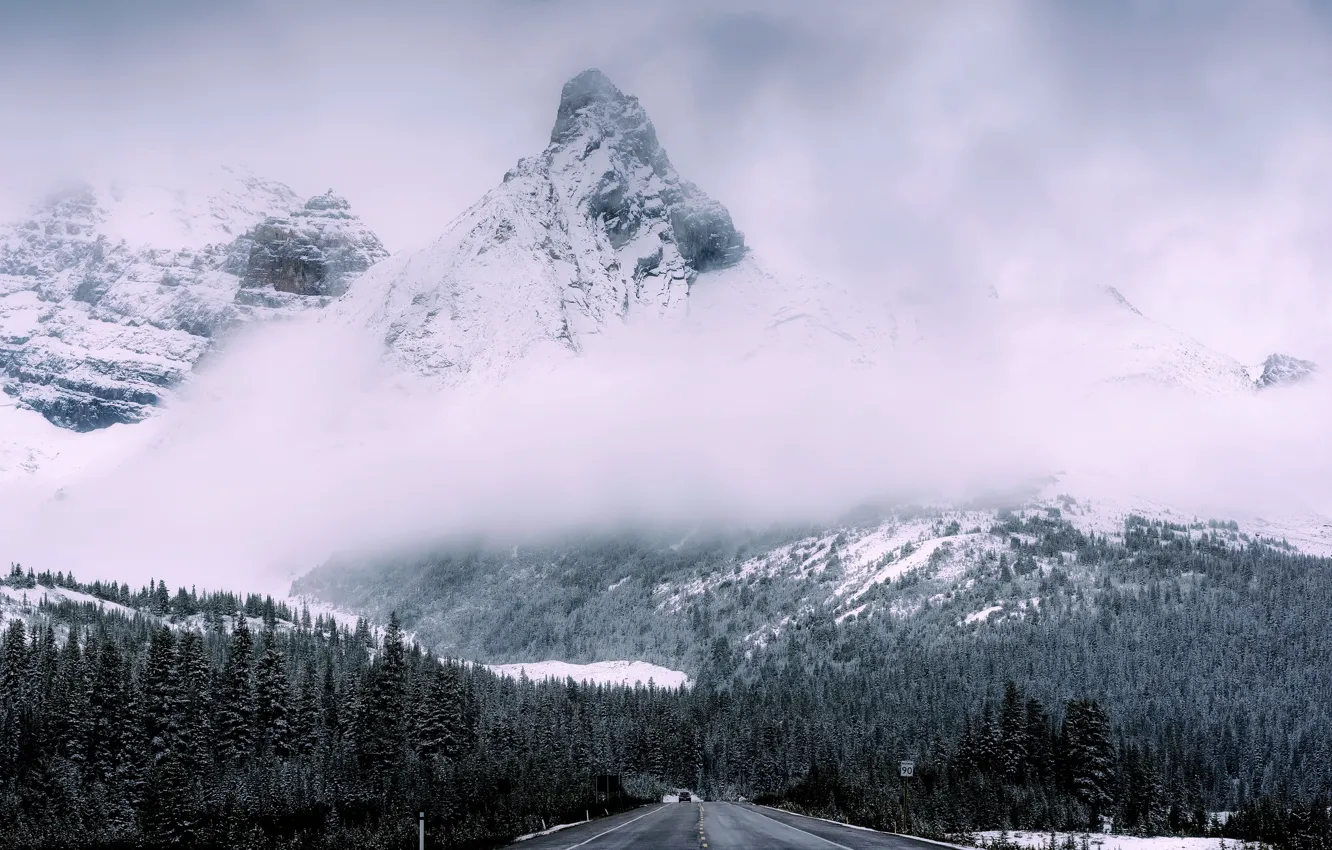 Фото обои дорога, лес, горы, природа, туман