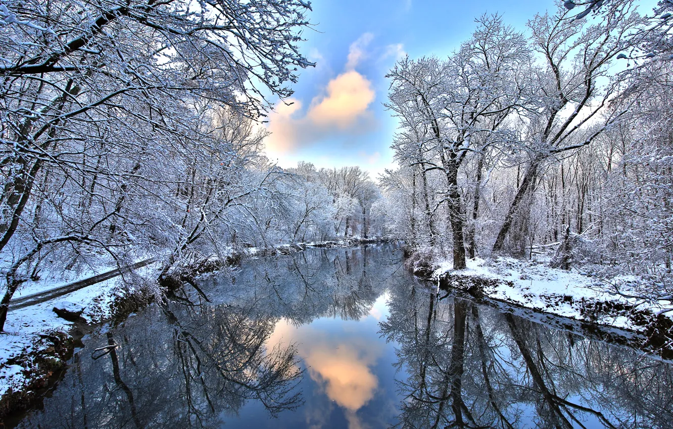 Фото обои зима, лес, снег, отражение, река