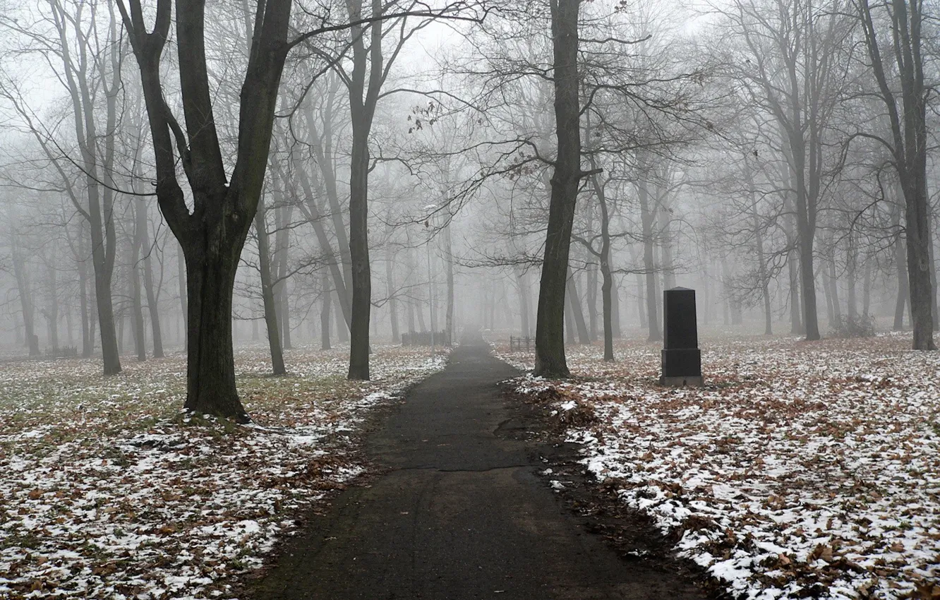 Фото обои осень, снег, деревья, туман, тропа, памятник