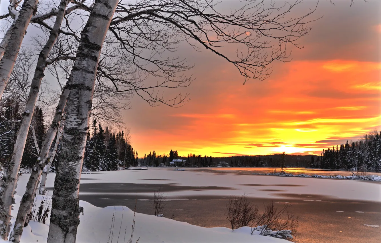 Фото обои зима, деревья, пейзаж, закат, природа, озеро, Канада, берёзы