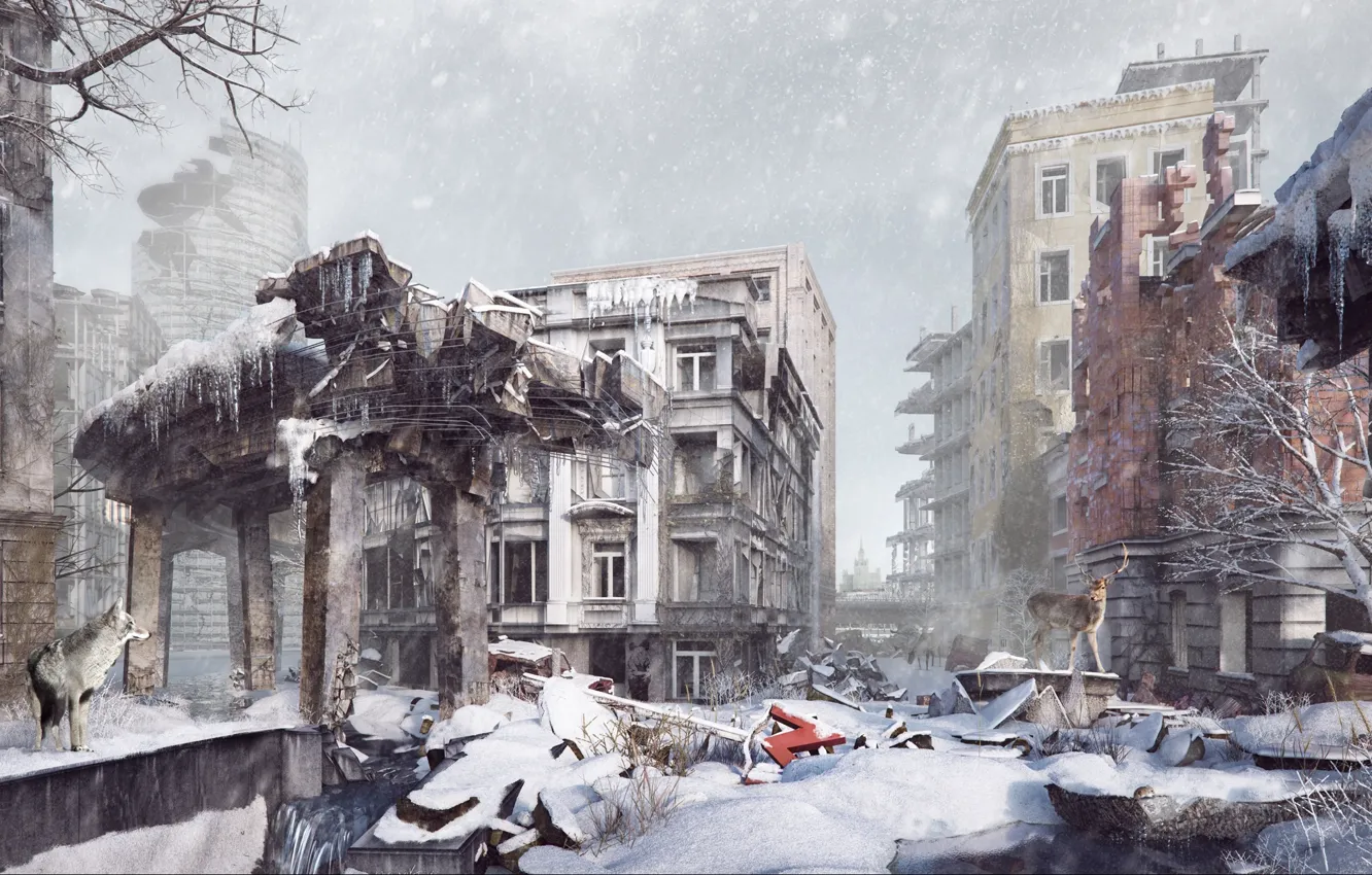 Фото обои снег, волк, разрушения, олень, На руинах цивилизации