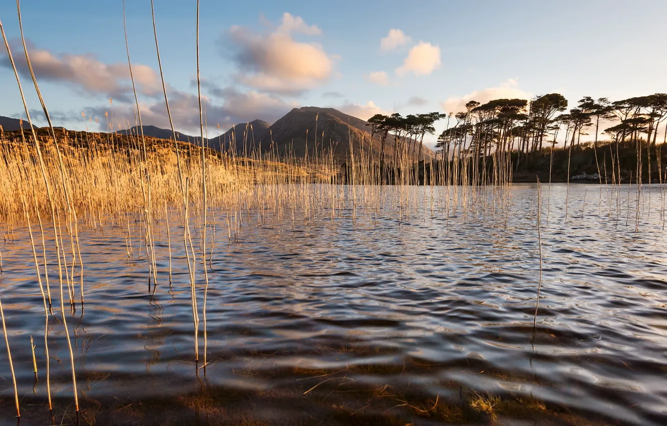 Фото обои вода, природа, озеро