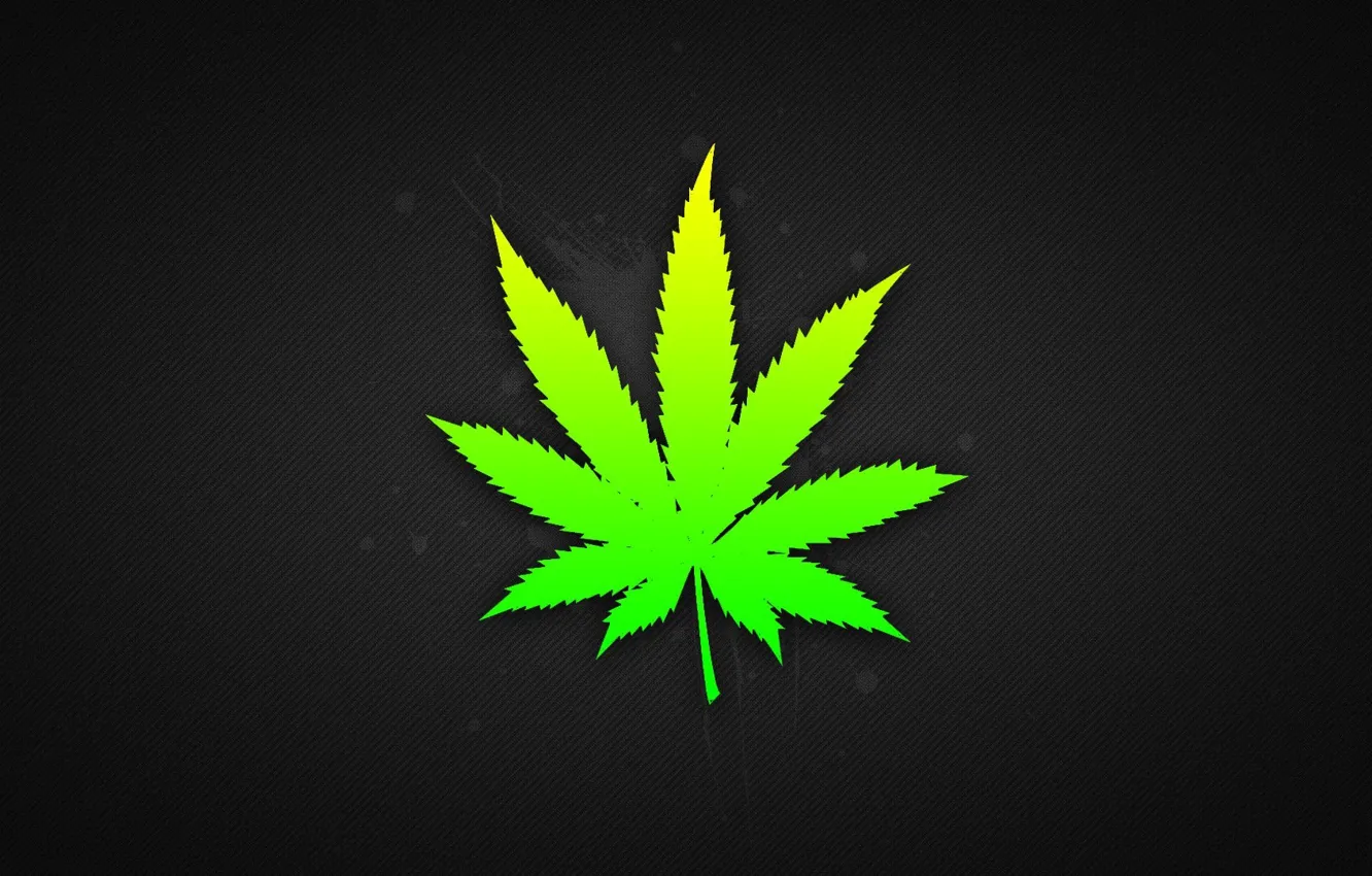 Фото обои растение, конопля, марихуанна, наркотик, канабинол, трафка, канабис