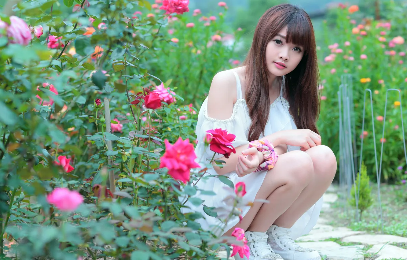 Фото обои взгляд, девушка, цветы, лицо, волосы, розы