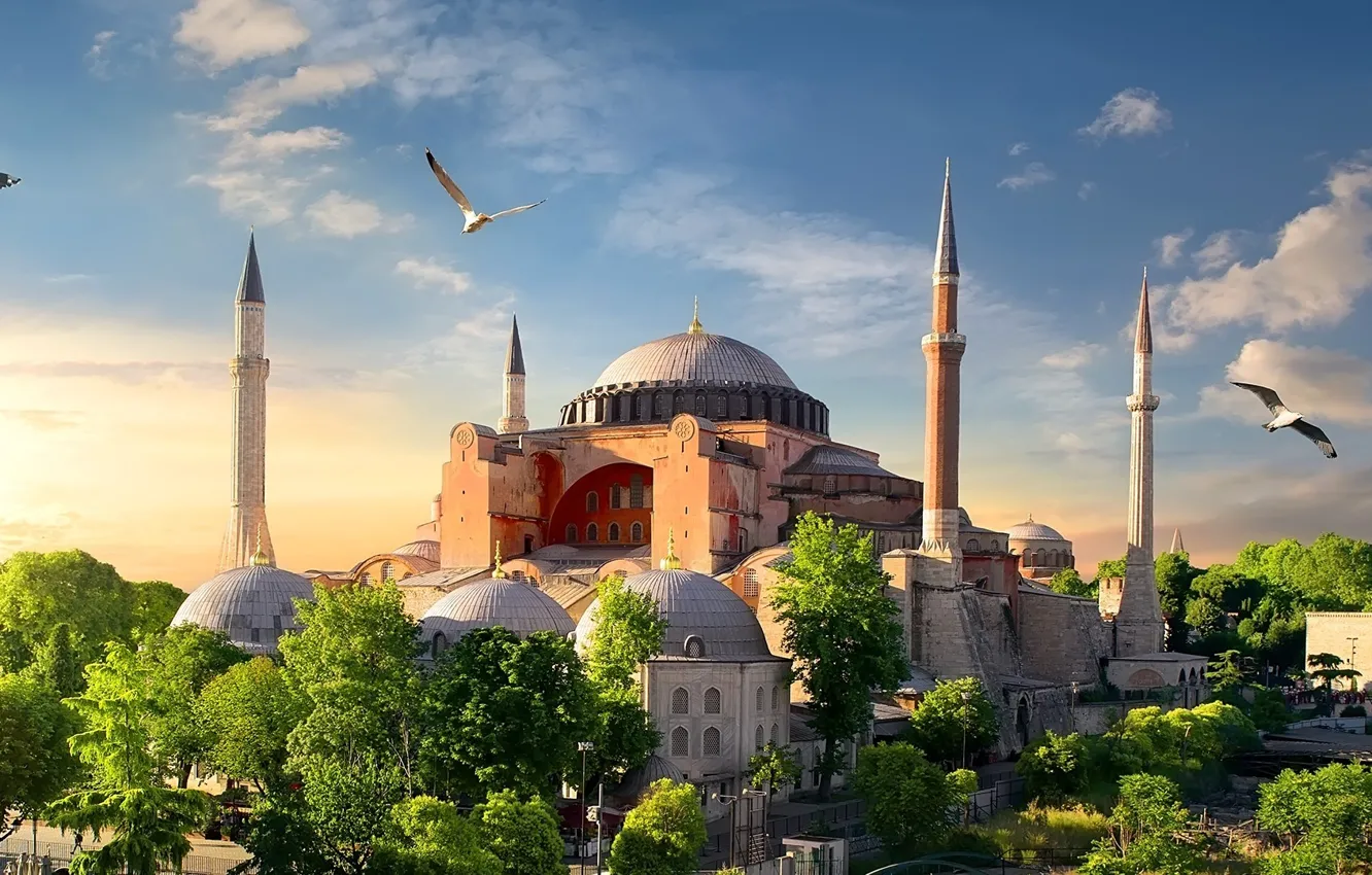 Фото обои seagull, istanbul, ayasofya camii, hagia sophia