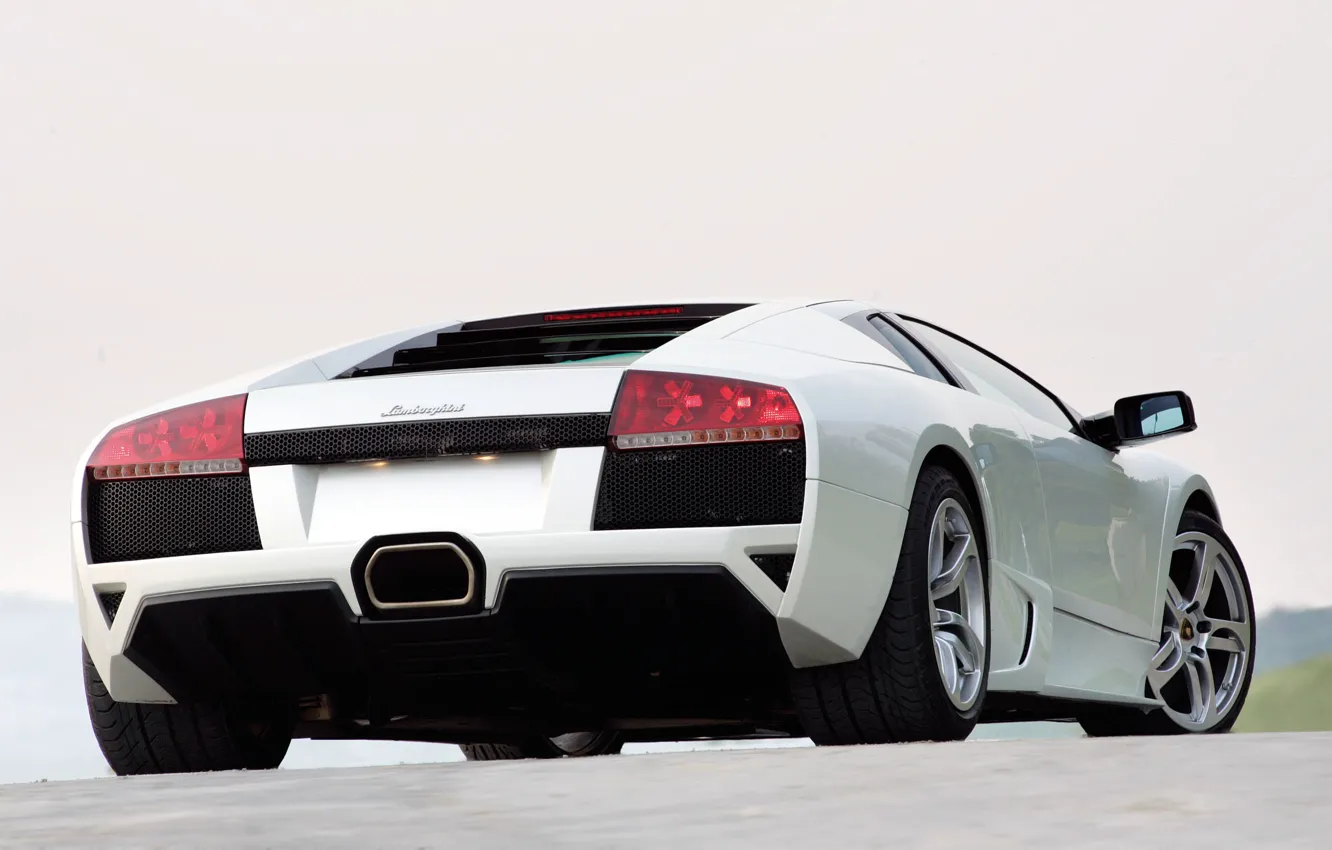 Фото обои фары, Lamborghini, белая, Murcielago