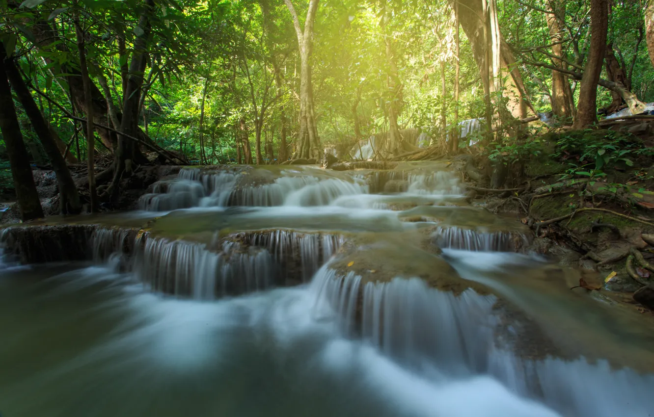 Фото обои лес, пейзаж, река, скалы, водопад, summer, Тайланд, forest