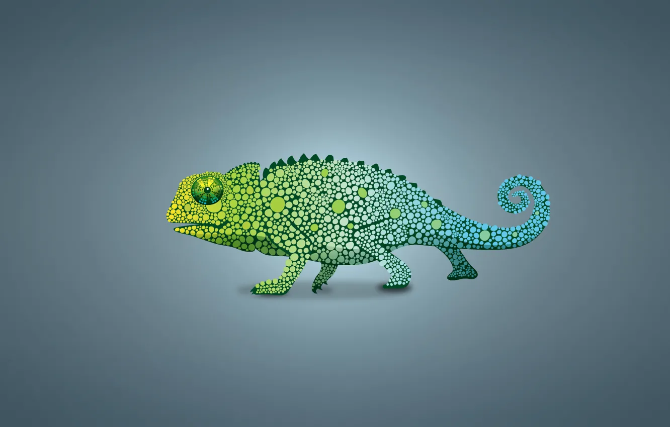 Фото обои зеленый, хамелеон, ящер, светлый фон, chameleon