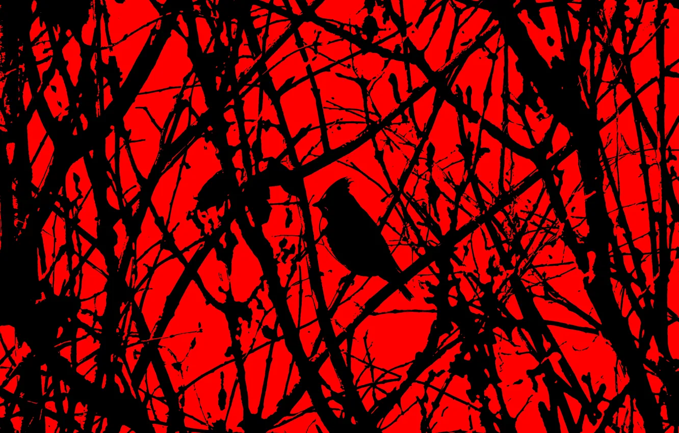 Фото обои лес, ужас, красное и черное, черная птица