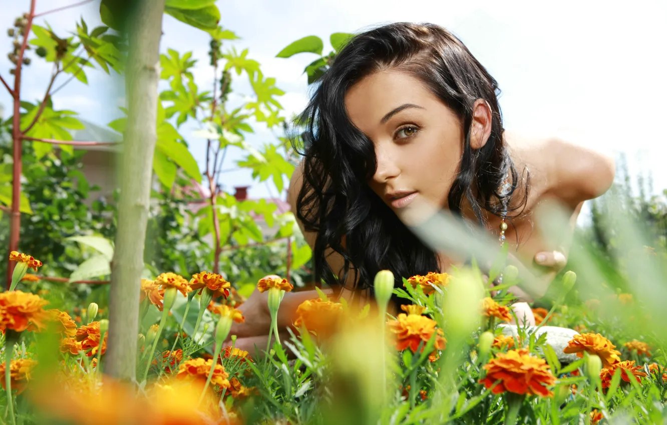Фото обои взгляд, девушка, цветы, брюнетка, jenya d, евгения диордийчук, гвоздики