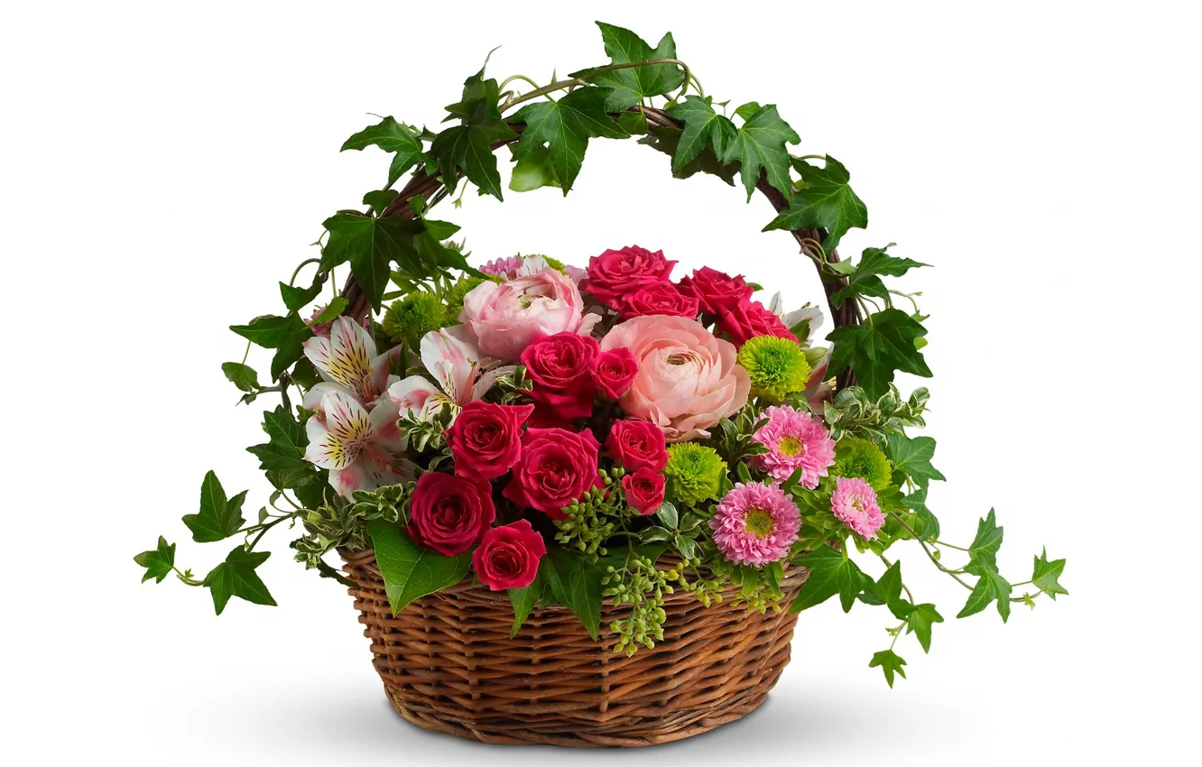 Фото обои листья, корзина, лилии, розы, букет, белый фон, хризантемы