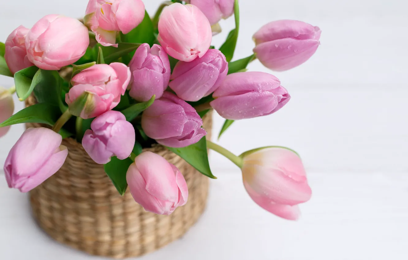 Фото обои цветы, крупный план, букет, весна, тюльпаны, розовые, корзинка, светлый фон