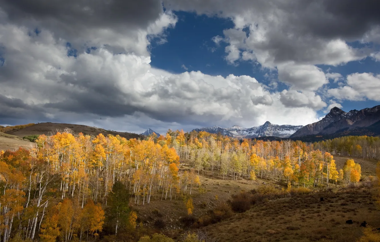 Фото обои осень, деревья, горы, природа