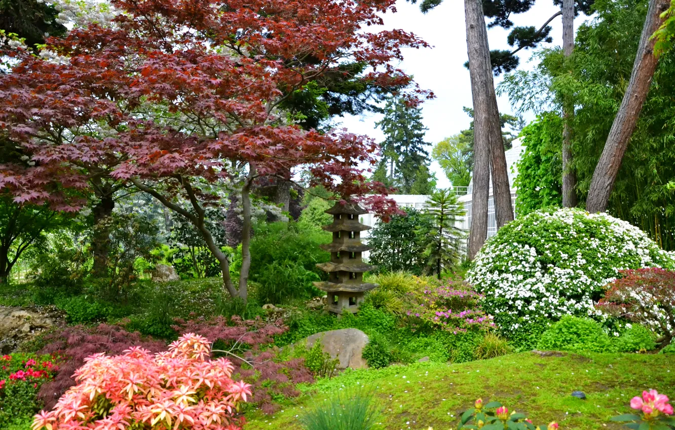 Фото обои деревья, цветы, Франция, Париж, сад, кусты, Japanese gardens, Albert-Kahn