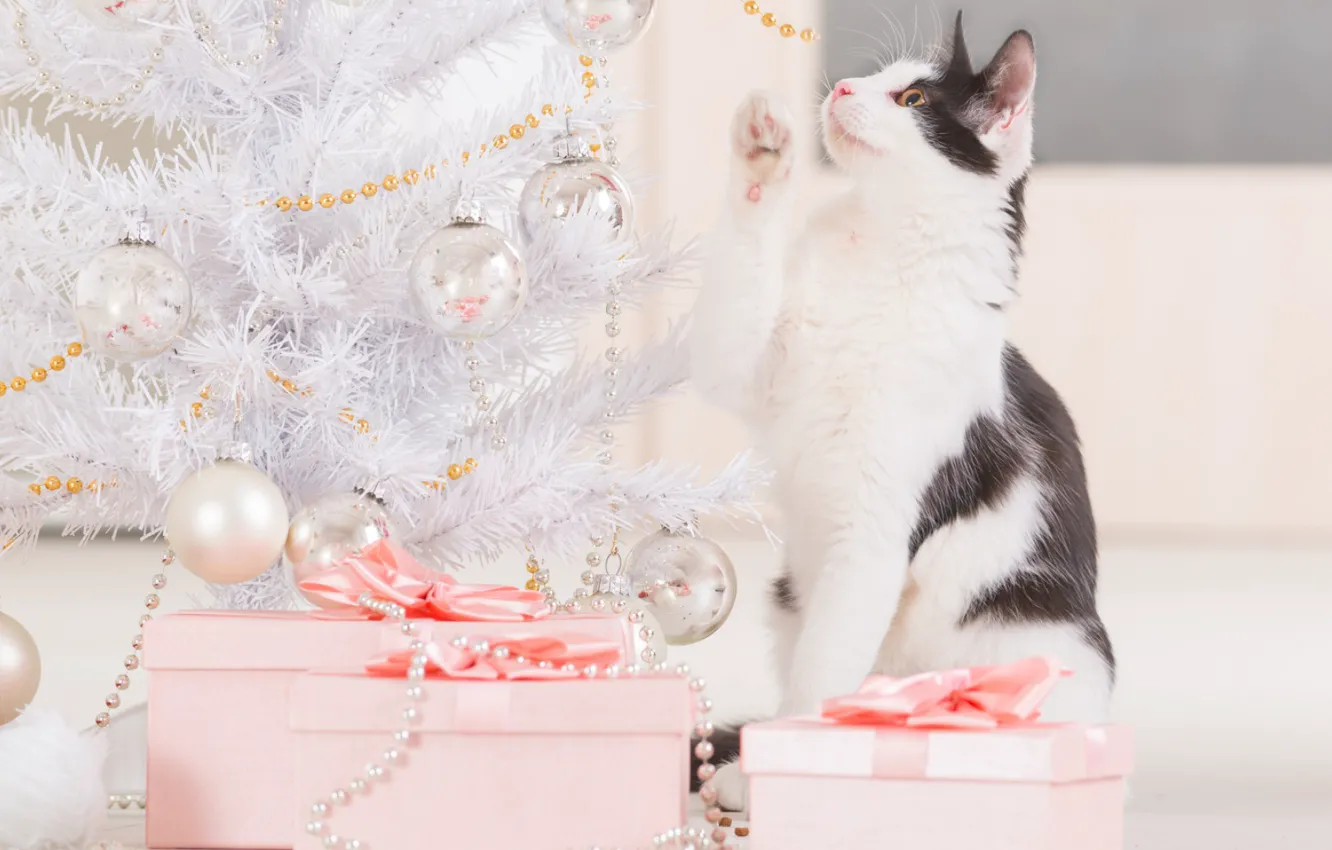 Фото обои кошка, праздник, игрушки, новый год, подарки, бусы, украшение