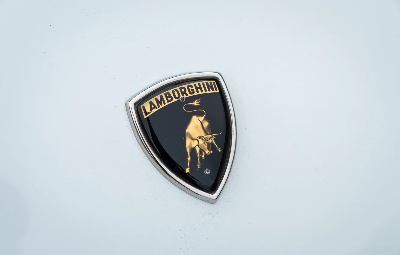 Фото обои логотип, Lamborghini, ламбо, logo, lambo, Countach, бык, bull