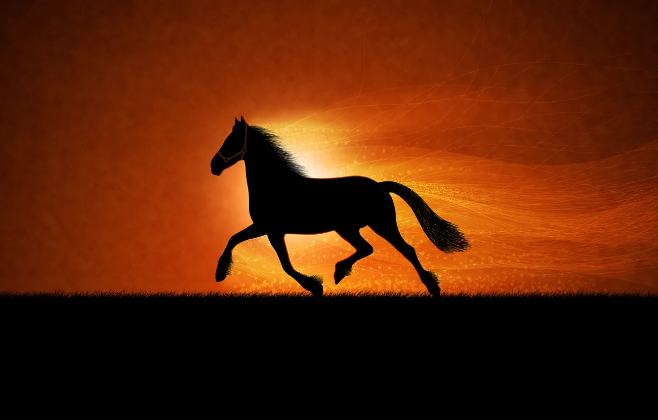 Фото обои лошадь, рисунок