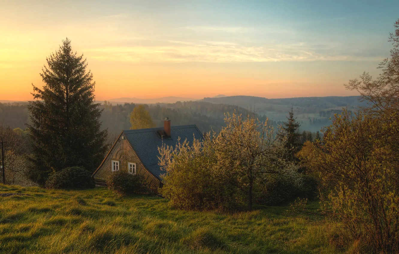 Фото обои лес, трава, деревья, горы, дом, рассвет, Швейцария, Bohemian