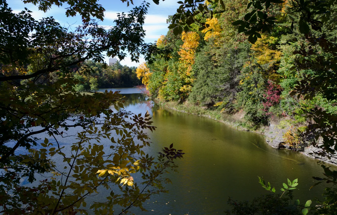Фото обои Природа, Осень, USA, США, Fall, Autumn, River, Cornell Plantations