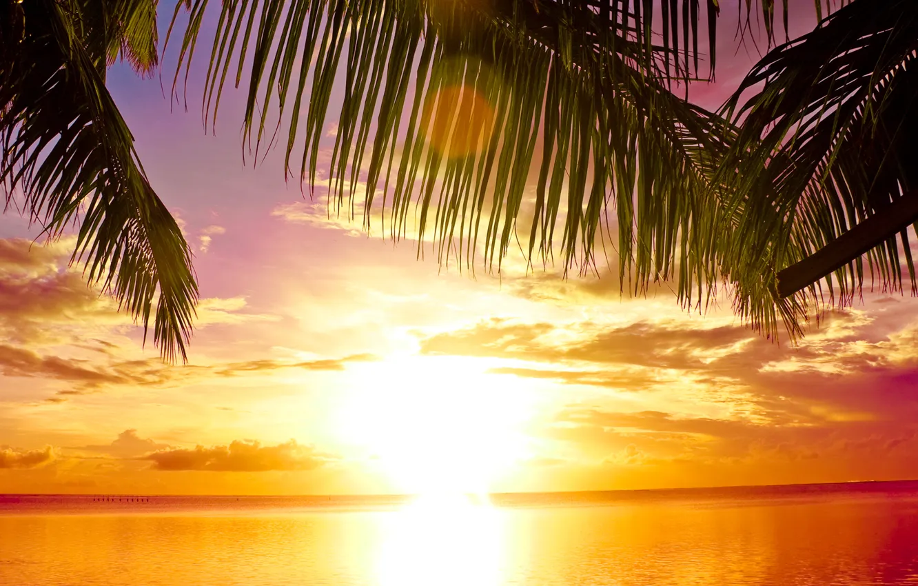 Фото обои море, пляж, солнце, закат, тропики, пальмы, beach, sea