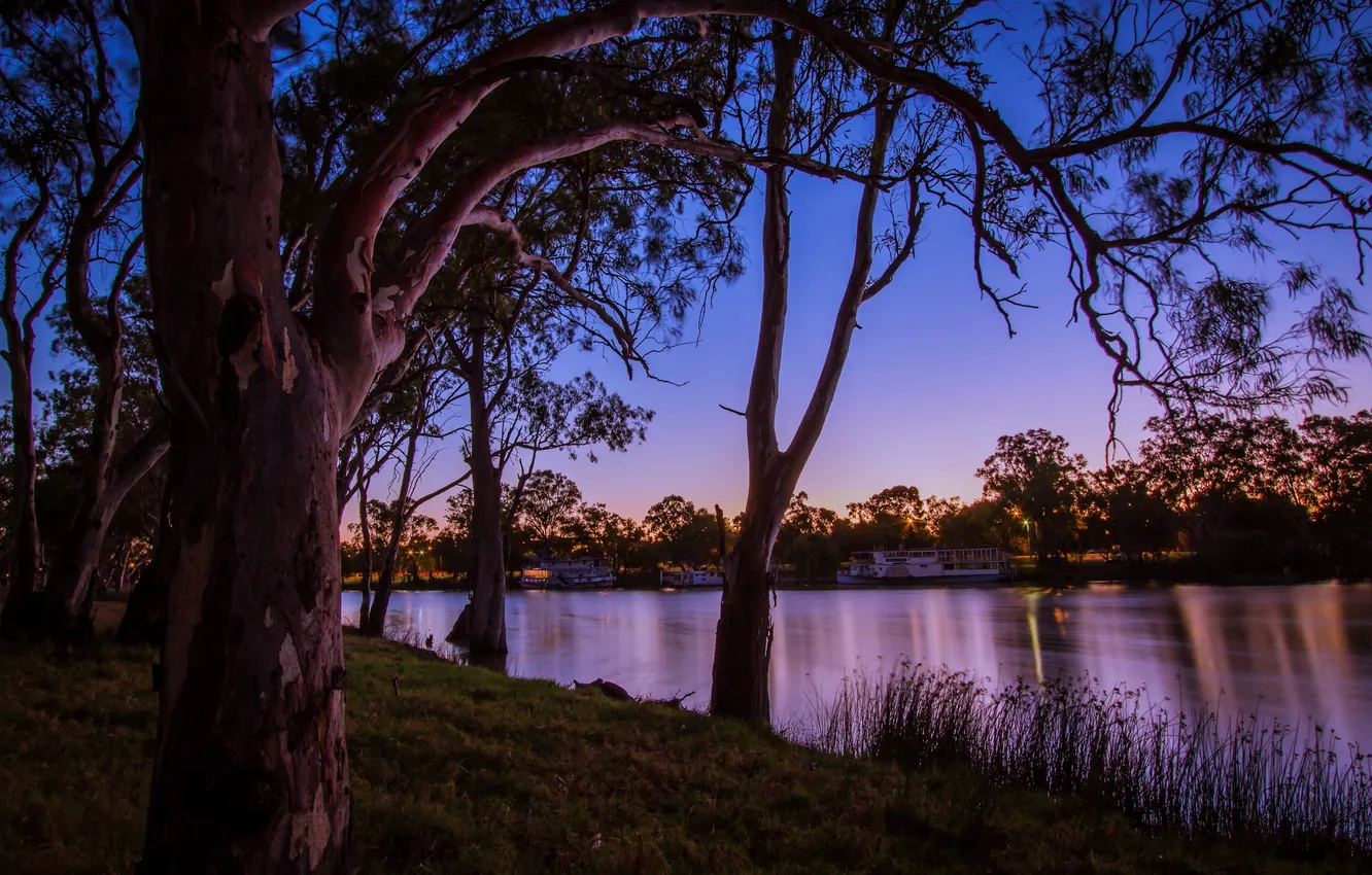 Фото обои деревья, природа, река, фото, Австралия, катера, Mildura Victoria