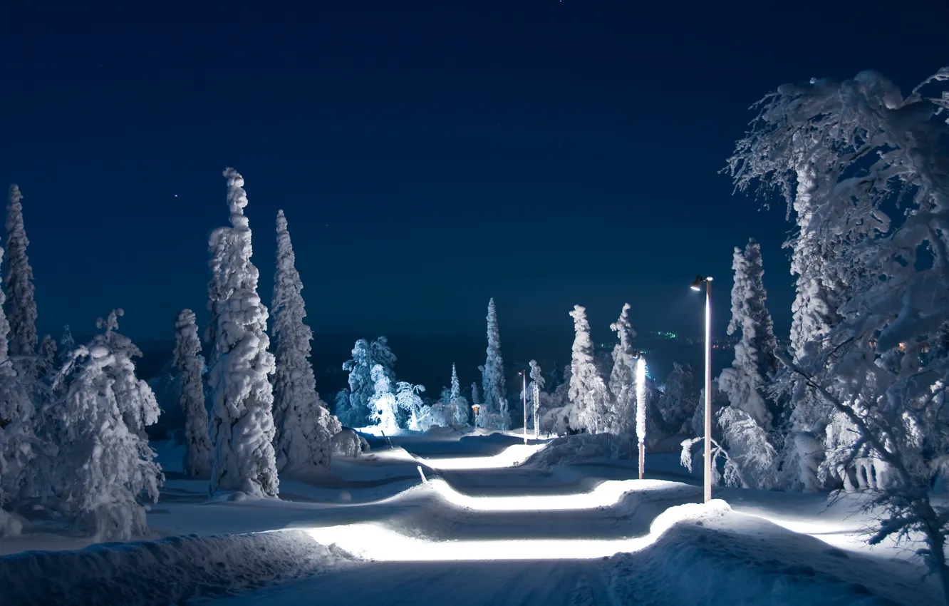 Фото обои зима, дорога, небо, снег, деревья, ночь, огни
