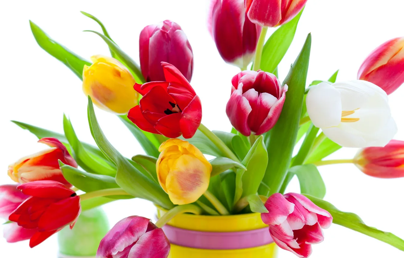 Фото обои цветы, яркие, красота, букет, лепестки, тюльпаны, красные, ваза
