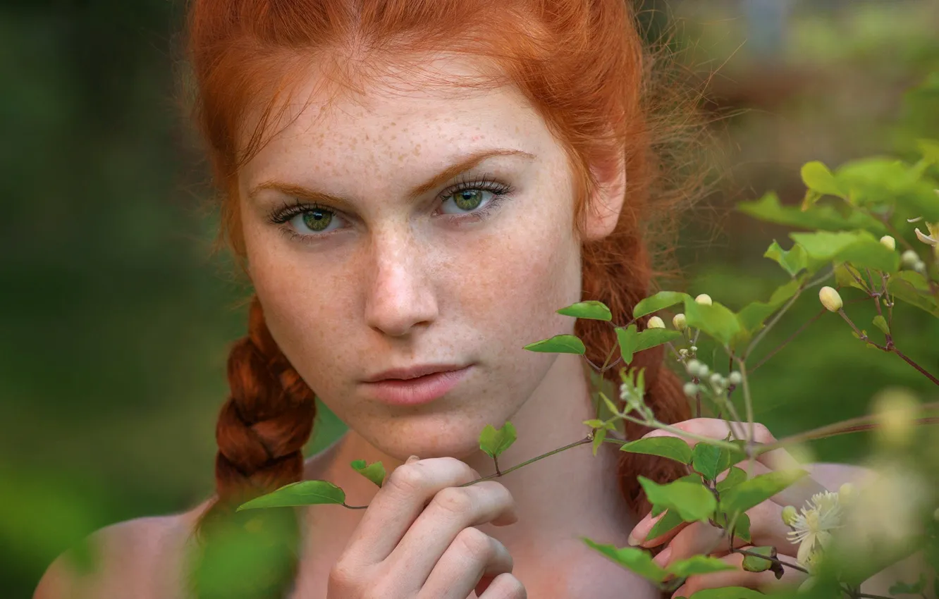 Фото обои глаза, взгляд, листья, Девушка, ветка, веснушки, рыжая, косы