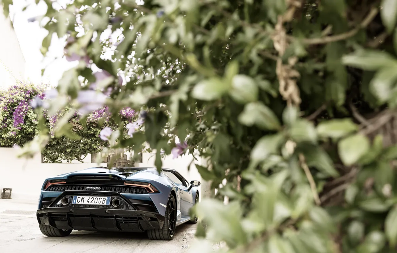 Фото обои Lamborghini, Huracan, rear view, Lamborghini Huracan EVO Spyder