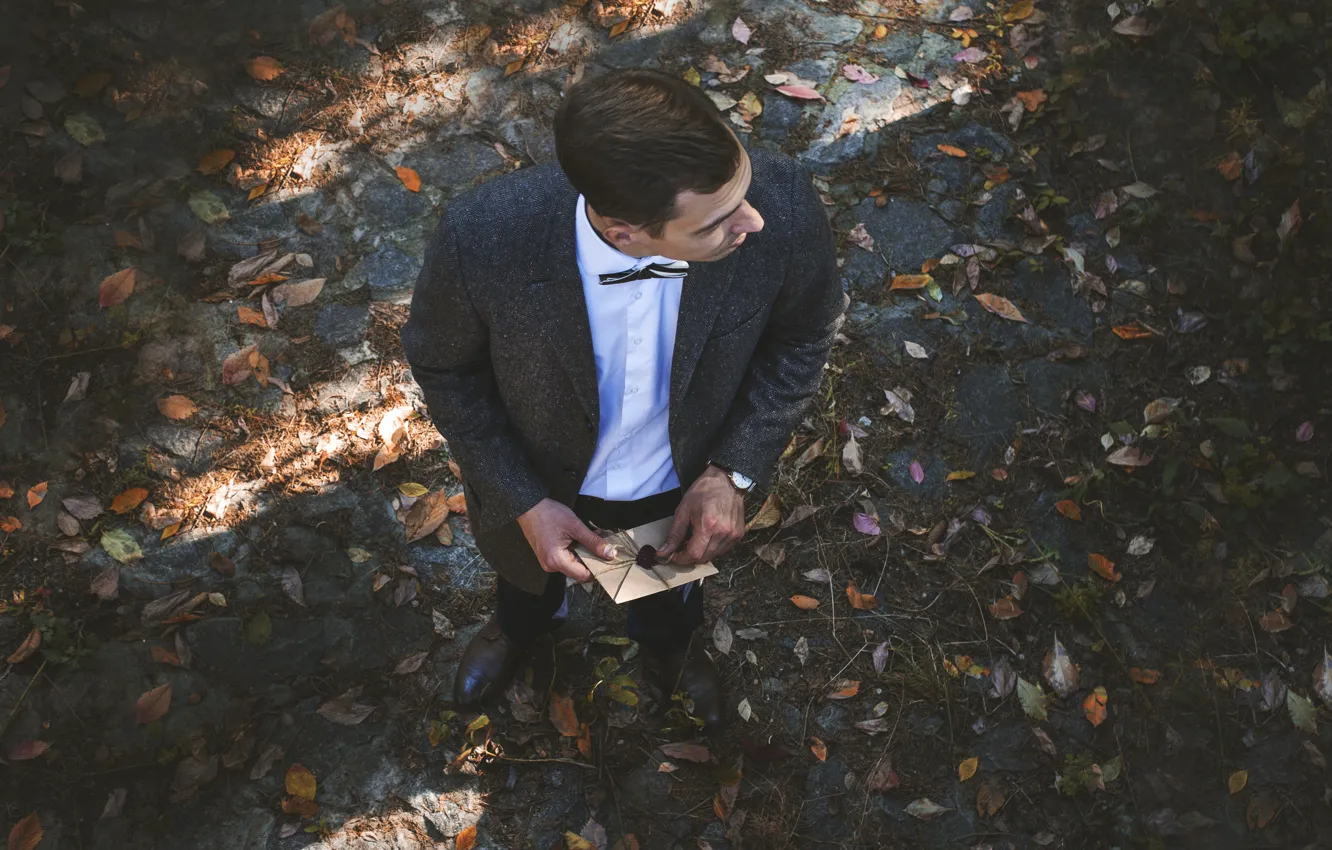 Фото обои взгляд, письмо, листья, парень в костюме