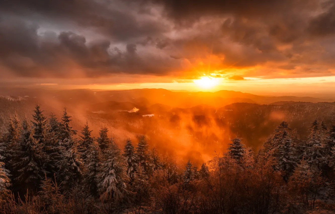 Фото обои солнце, снег, пейзаж, горы, природа, туман, рассвет, ель