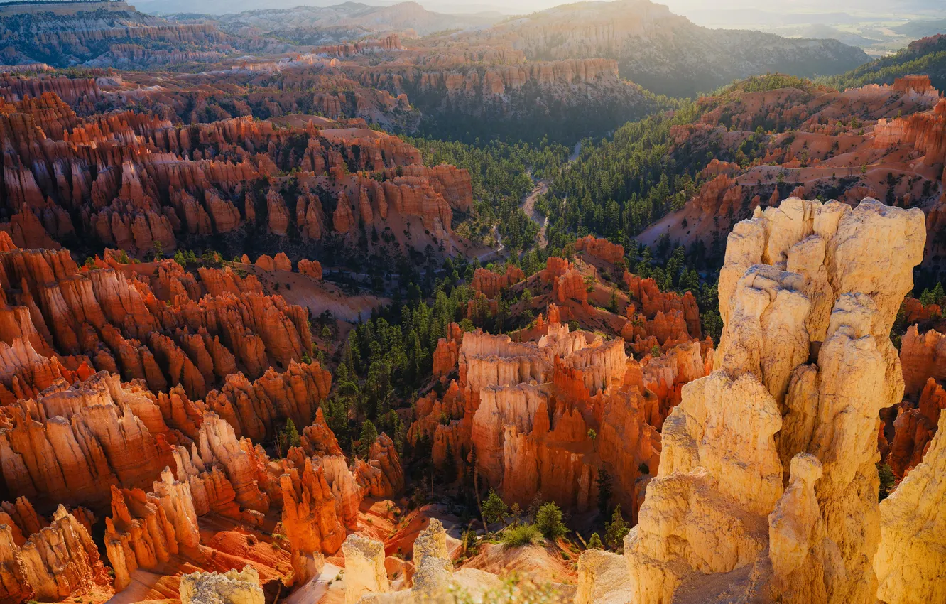 Фото обои солнце, деревья, скалы, USA, Utah, Bryce Canyon National Park, North America