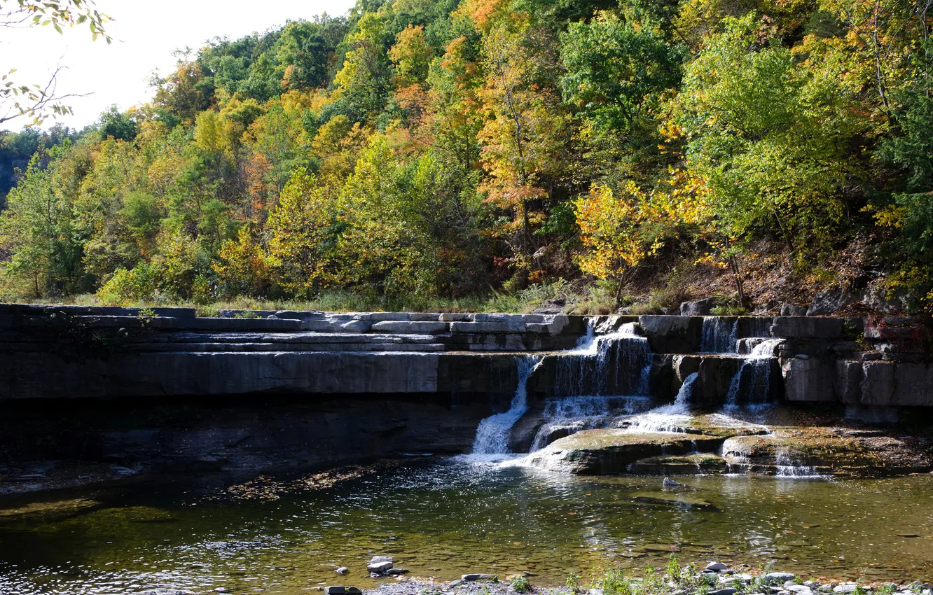 Фото обои осень, лес, деревья, скала, река, водопад, слой