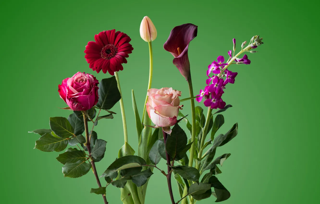 Фото обои роза, тюльпан, букет, лепестки, стебель